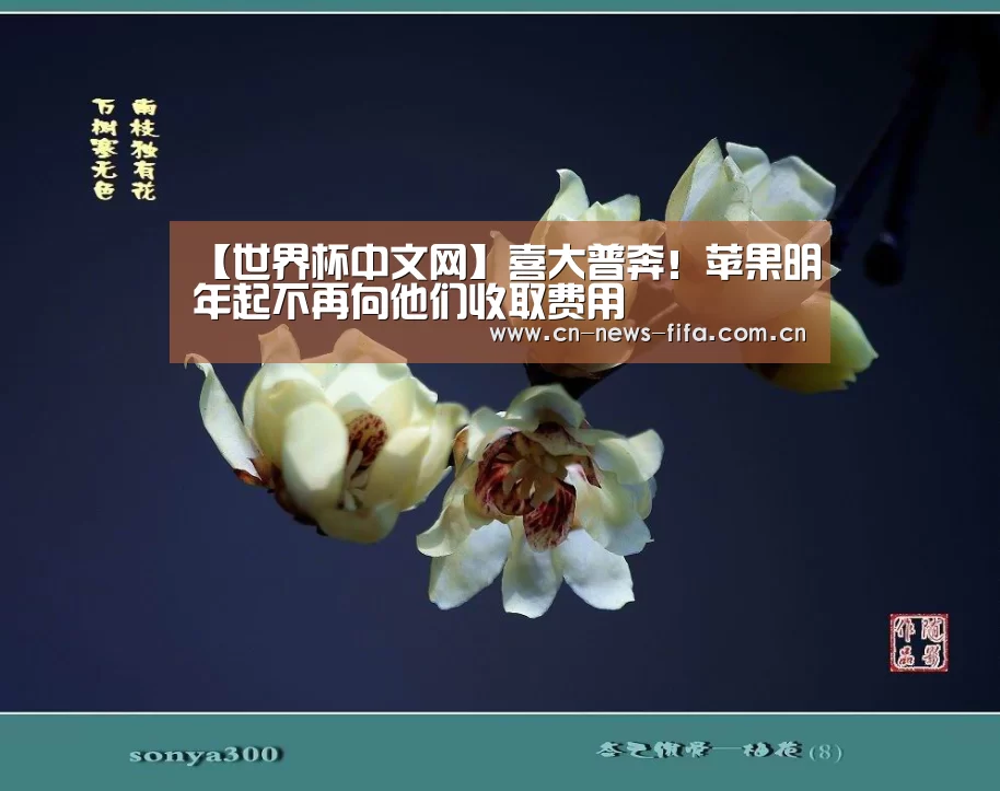 举办城市