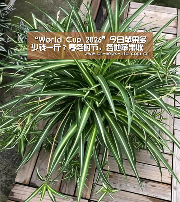 官方动态