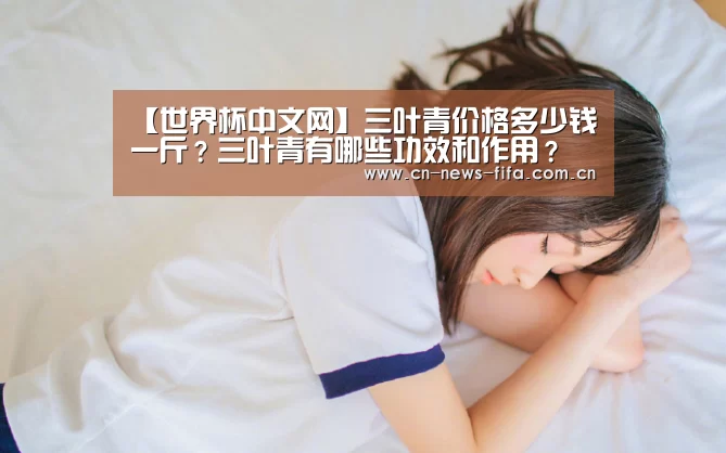举办城市