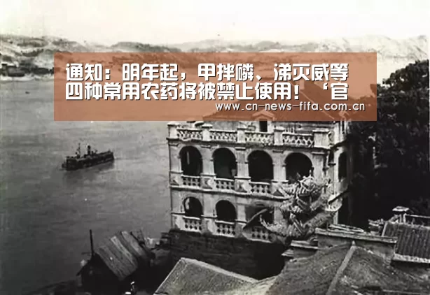举办城市