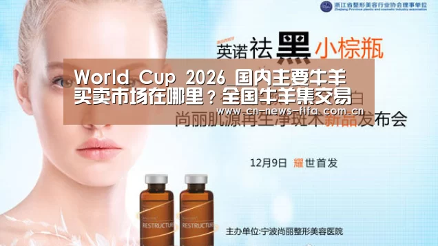 世界杯中文网