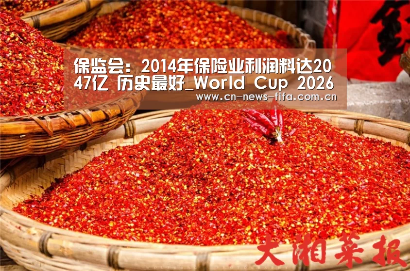 世界杯中文网