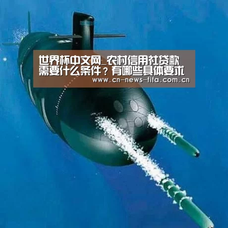 世界杯中文网_农村信用社贷款需要什么条件?有哪些具体要求?(图2) 世界杯中文网
