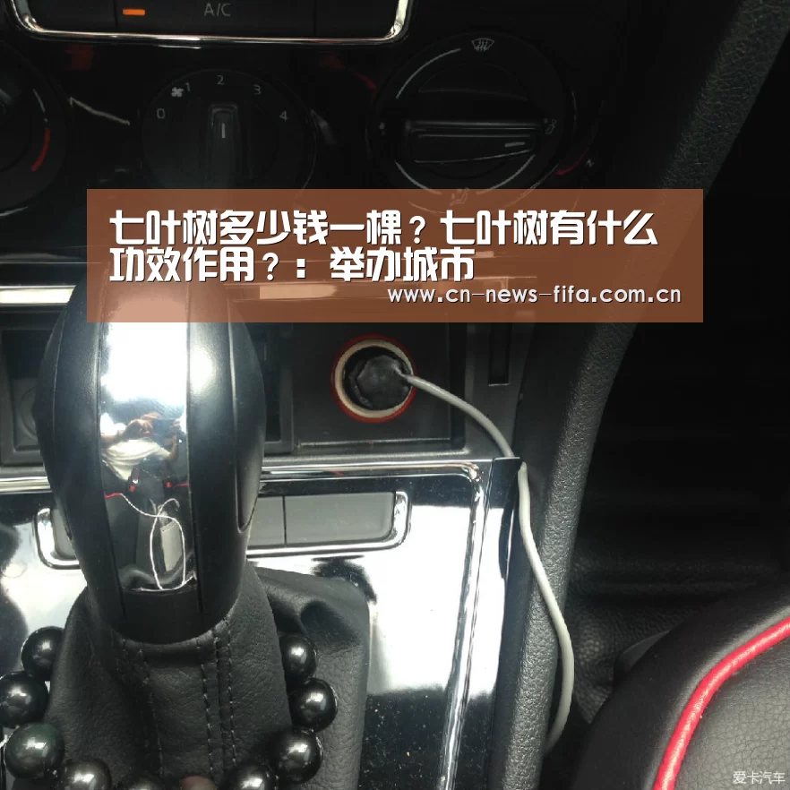 官方动态
