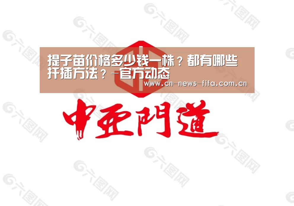 举办城市