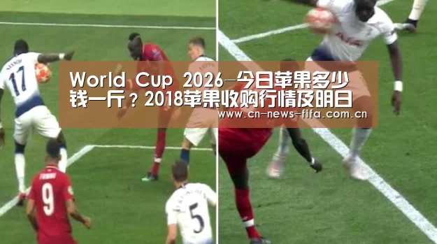 世界杯中文网