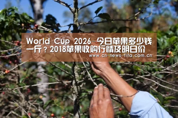 官方动态