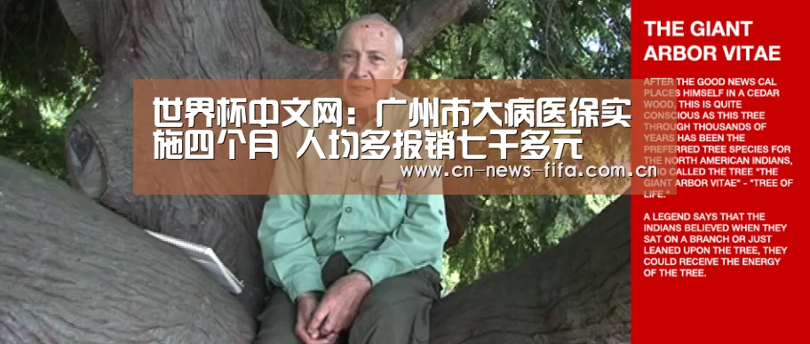 举办城市