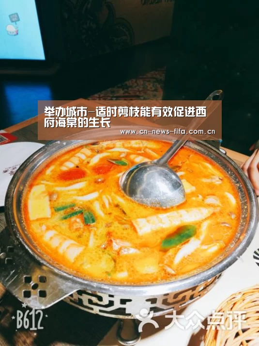 举办城市-适时剪枝能有效促进西府海棠的生长(图2) 举办城市