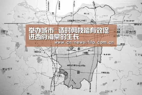 举办城市-适时剪枝能有效促进西府海棠的生