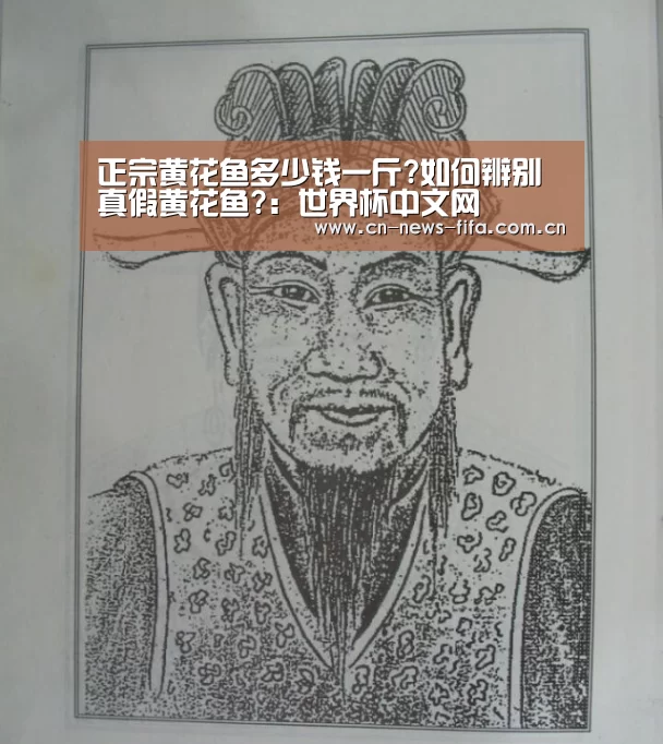 官方动态
