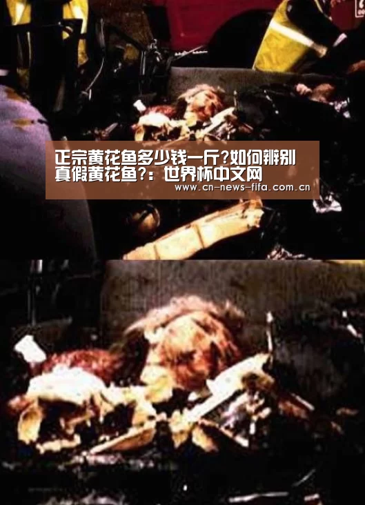 世界杯中文网